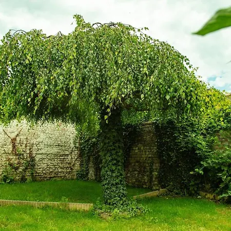 Cozy House Between And Private Garden 別荘 ダンケルク