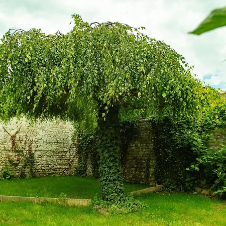 Cozy House Between And Private Garden 別荘 *
